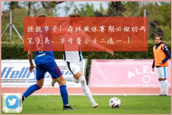 拯救华子！森林狼休赛期必做的两笔交易，字母哥小卡二选一_1