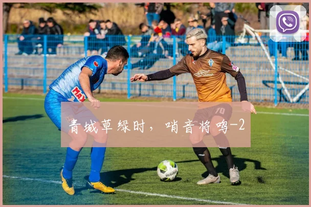 青城草绿时,哨音将鸣