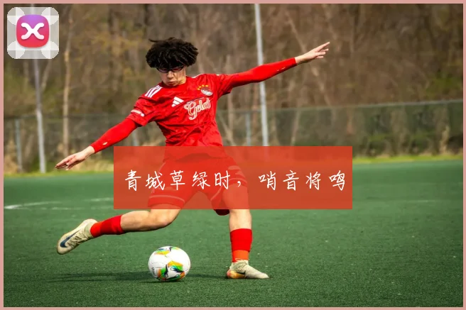 青城草绿时,哨音将鸣