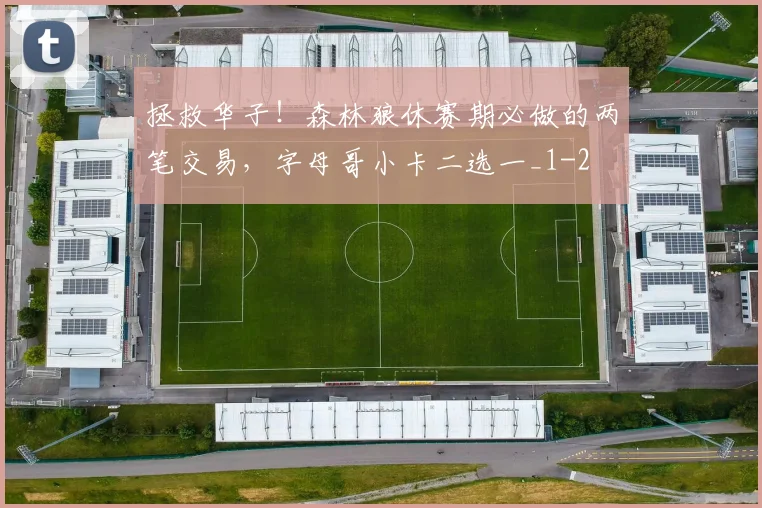 拯救华子！森林狼休赛期必做的两笔交易，字母哥小卡二选一_1